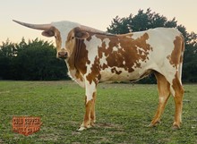 TXN Rubicon